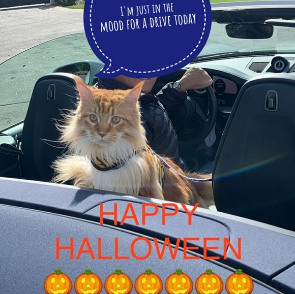 Namaste - Picture 15 of 16